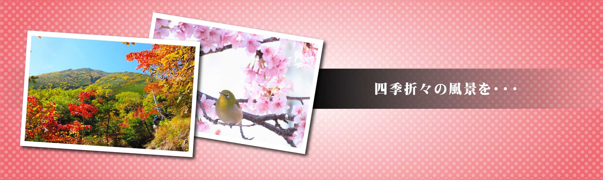 四季折々の風景を・・・
