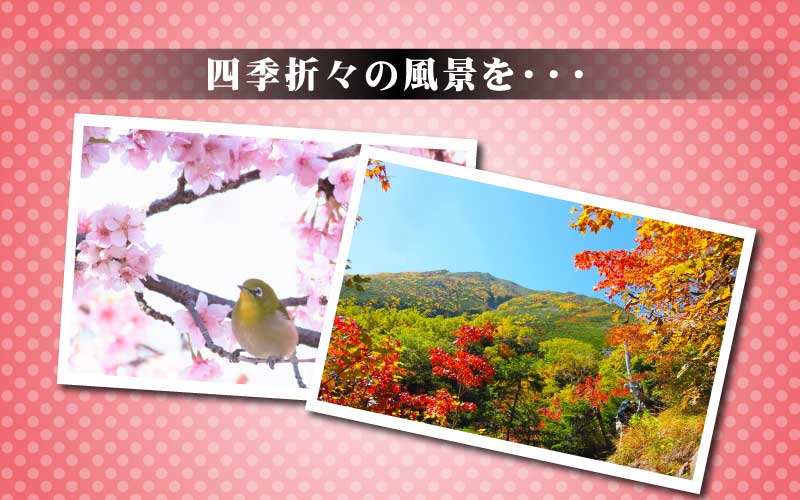 四季折々の風景を・・・